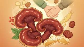 灵芝益寿胶囊是国药吗？深度解析成分功效，帮父母选药不踩坑